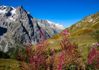 Refuge Bonatti - Contacts